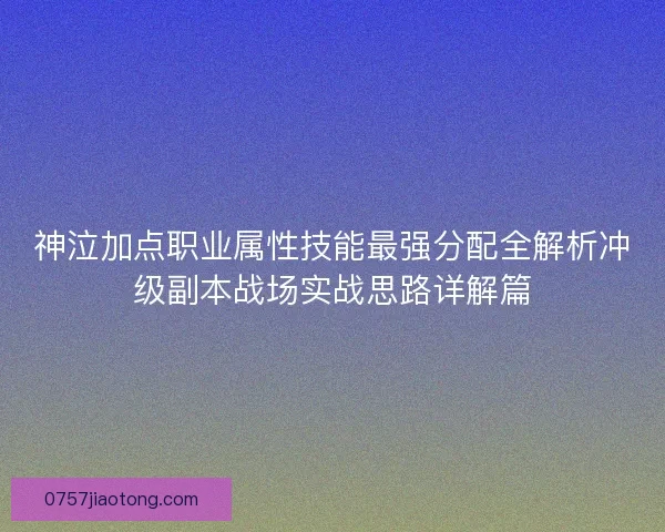 神泣加点职业属性技能最强分配全解析冲级副本战场实战思路详解篇